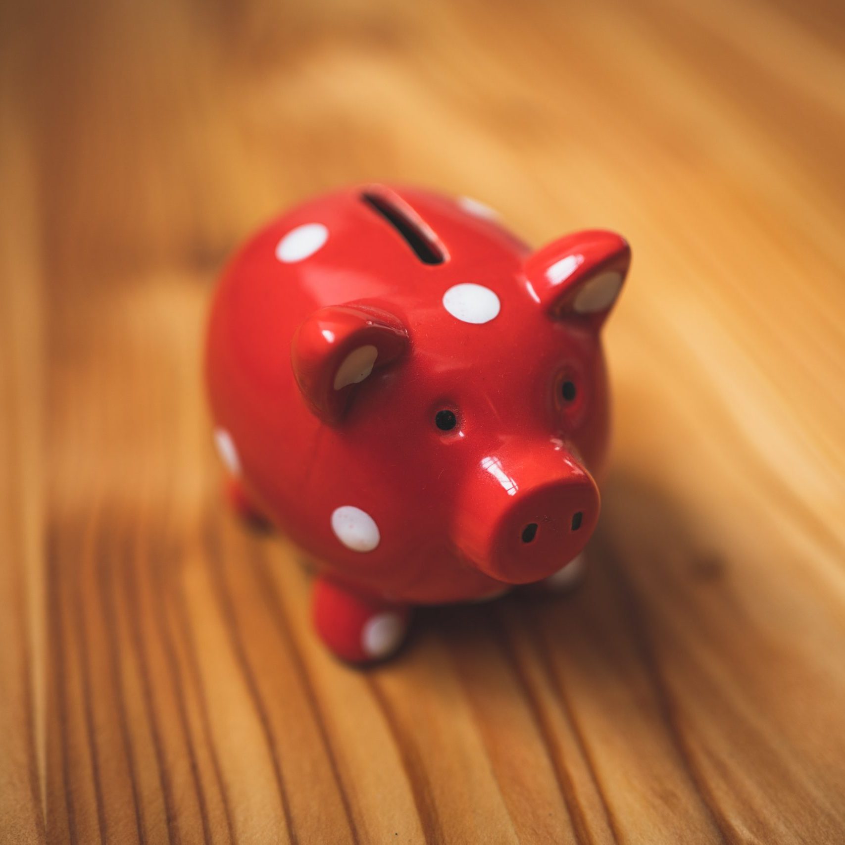 piggy bank